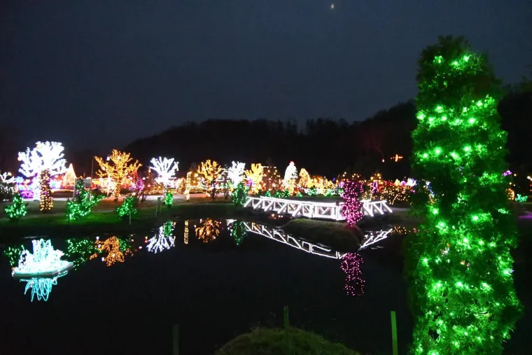 Svjetlosni spektakl ostavlja bez daha: Božićna bajka s rekordnih 5,6 milijuna lampica