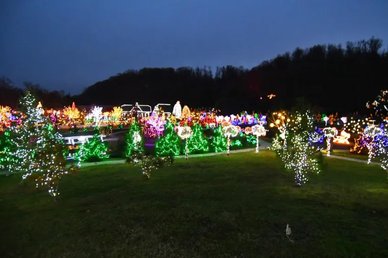 Svjetlosni spektakl ostavlja bez daha: Božićna bajka s rekordnih 5,6 milijuna lampica