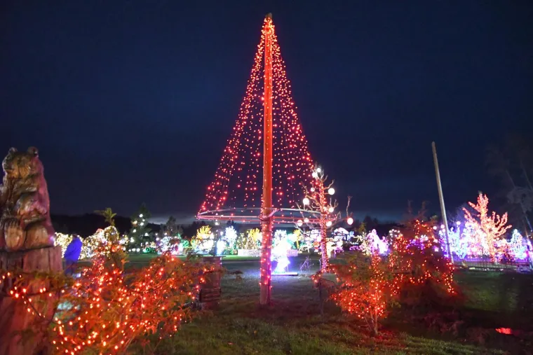 Svjetlosni spektakl ostavlja bez daha: Božićna bajka s rekordnih 5,6 milijuna lampica