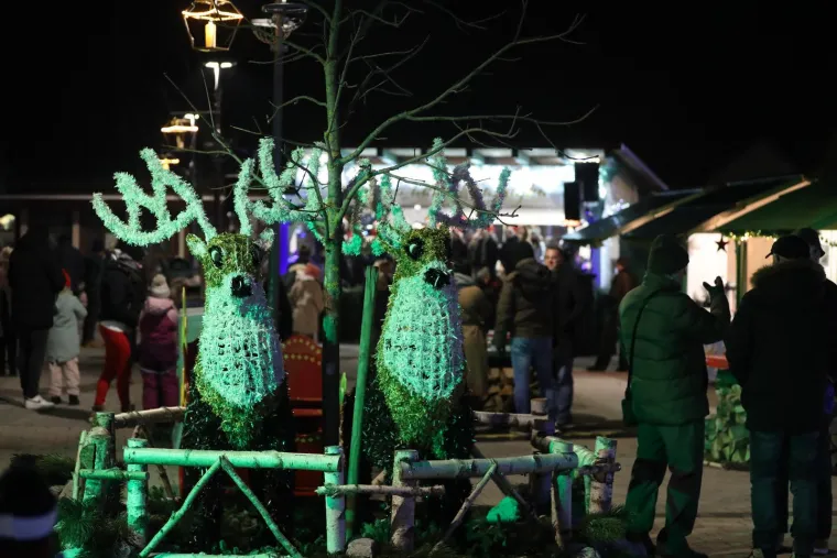 Adventska čarolija u Hrvatskoj: Svaki grad ovih blagdana priča svoju priču