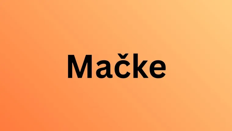 Znalci će prepoznati ove životinje odmah po &scaron;apama, možete li i vi?