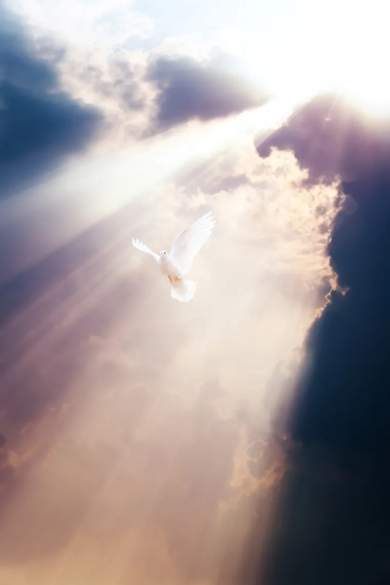 Saznajte njihova značenja: Brojevi u Bibliji otkrivaju Božji plan za čovječanstvo?