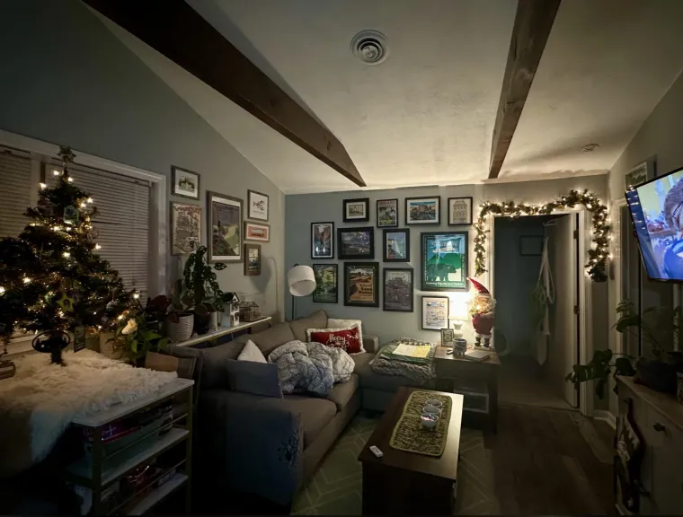 Lampice, jelke i ukrasi: Ljudi se hvale okićenim domovima, prizori su prava čarolija