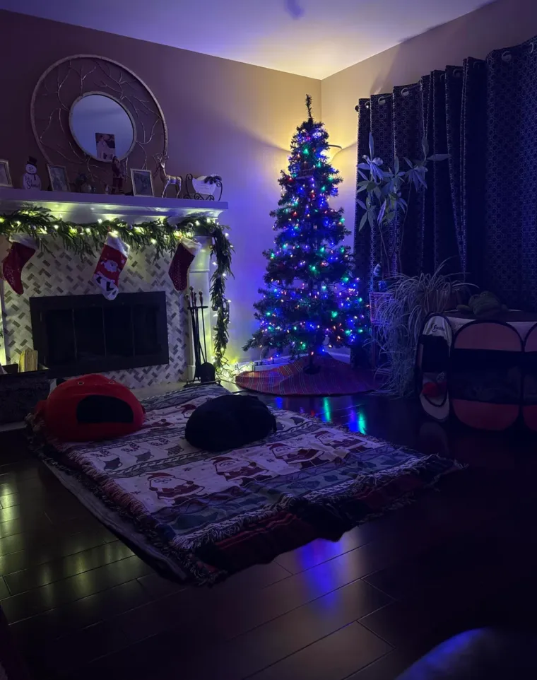 Lampice, jelke i ukrasi: Ljudi se hvale okićenim domovima, prizori su prava čarolija