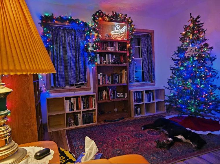 Lampice, jelke i ukrasi: Ljudi se hvale okićenim domovima, prizori su prava čarolija