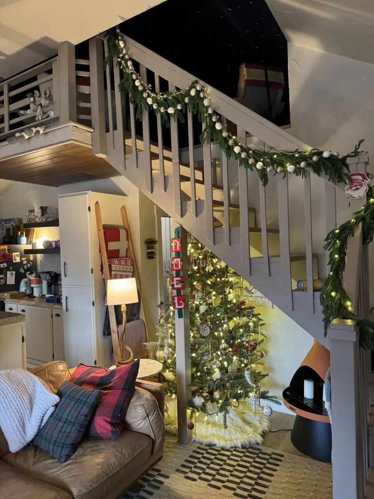 Lampice, jelke i ukrasi: Ljudi se hvale okićenim domovima, prizori su prava čarolija