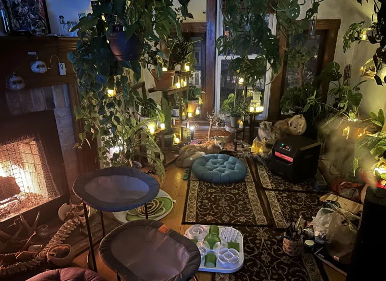 Lampice, jelke i ukrasi: Ljudi se hvale okićenim domovima, prizori su prava čarolija