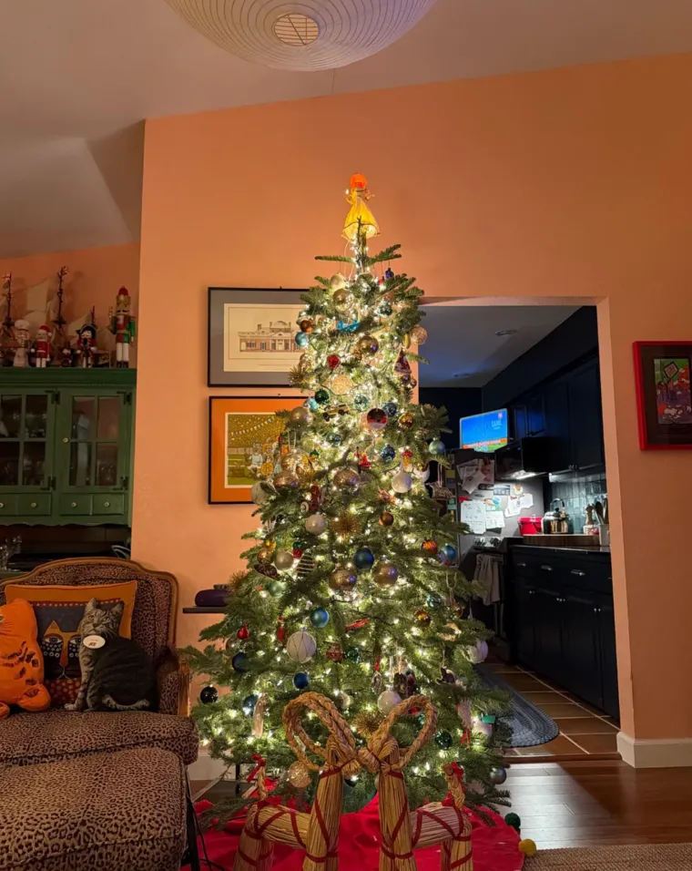 Lampice, jelke i ukrasi: Ljudi se hvale okićenim domovima, prizori su prava čarolija