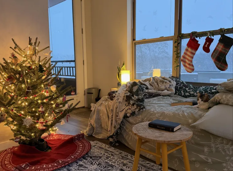 Lampice, jelke i ukrasi: Ljudi se hvale okićenim domovima, prizori su prava čarolija