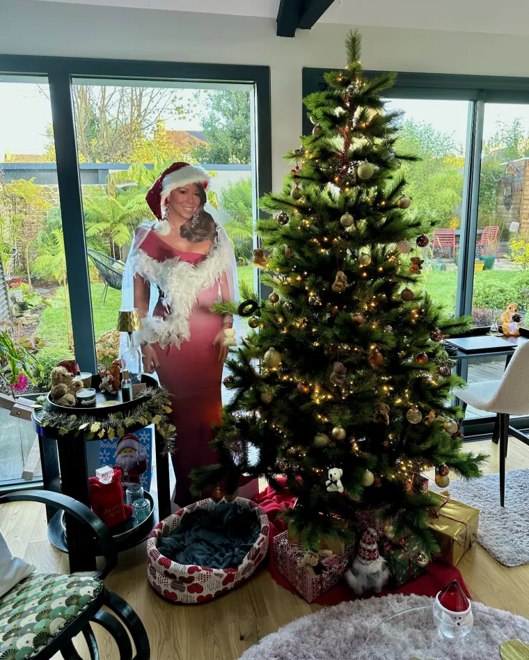 Lampice, jelke i ukrasi: Ljudi se hvale okićenim domovima, prizori su prava čarolija