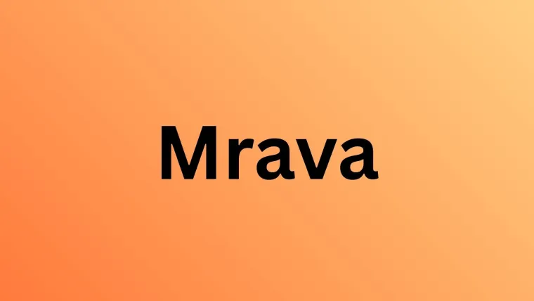 Ne mora&scaron; biti genijalac da prepozna&scaron; barem &scaron;est kukaca sa slike: Pitanja su stvarno laka