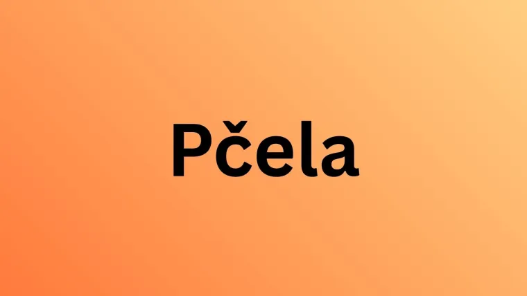 Ne mora&scaron; biti genijalac da prepozna&scaron; barem &scaron;est kukaca sa slike: Pitanja su stvarno laka