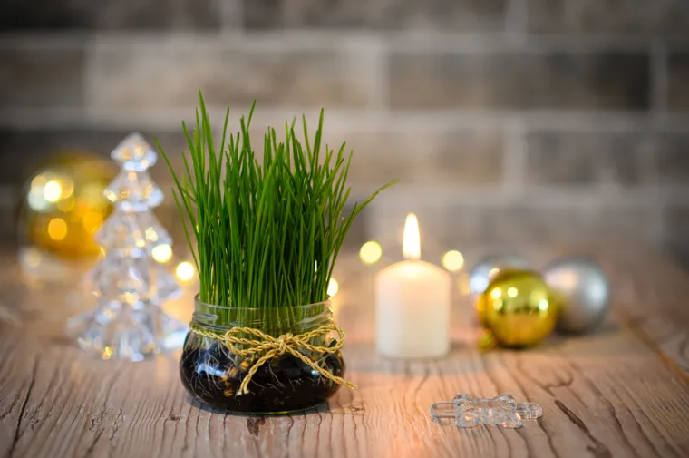 Većina nas ima ove ukrase, a ne znamo da ovoliko vrijede: Privlače novac u dom poput magneta