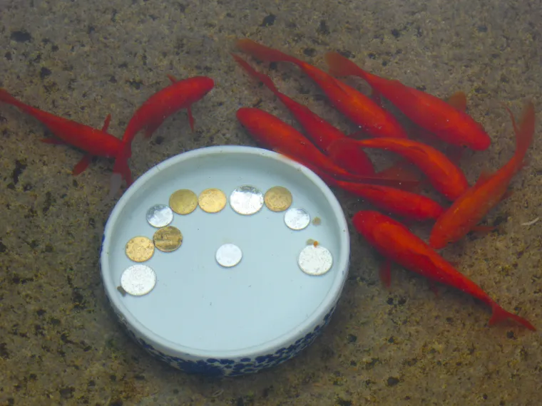 Većina nas ima ove ukrase, a ne znamo da ovoliko vrijede: Privlače novac u dom poput magneta