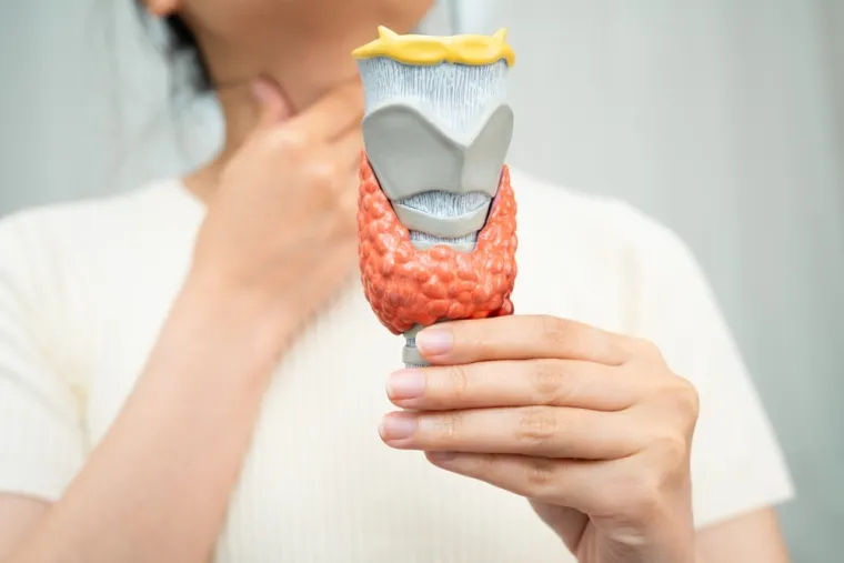 Ovo su činjenice koje biste trebali znati o mineralu koji vraća energiju