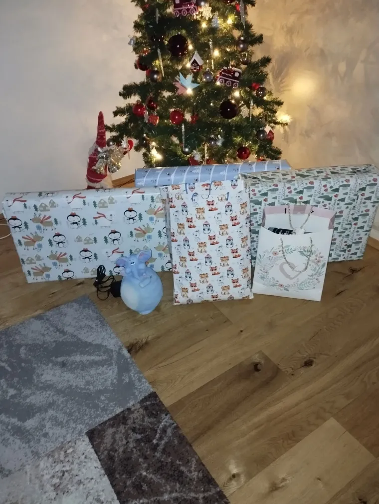 Slali ste nam fotografije va&scaron;ih čizmica koje su dočekale svetog Nikolu: Koji biste dar izabrali?