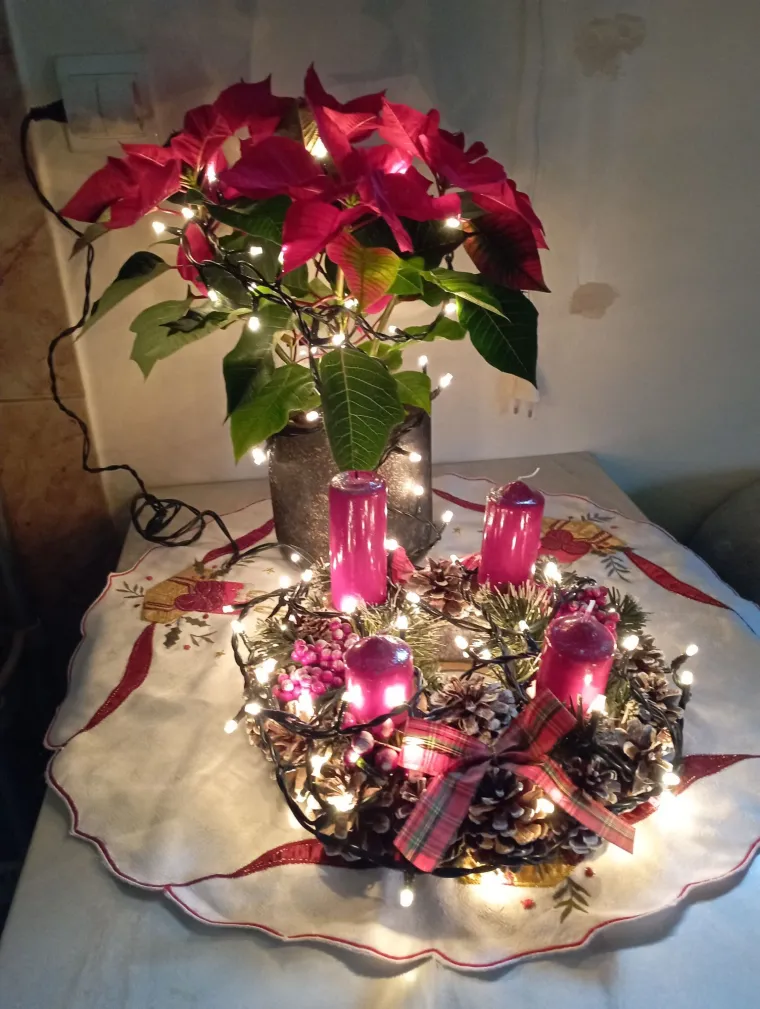 Blagdanski čarolija u va&scaron;im domovima: Pogledajte najljep&scaron;e adventske vijence na&scaron;ih čitatelja