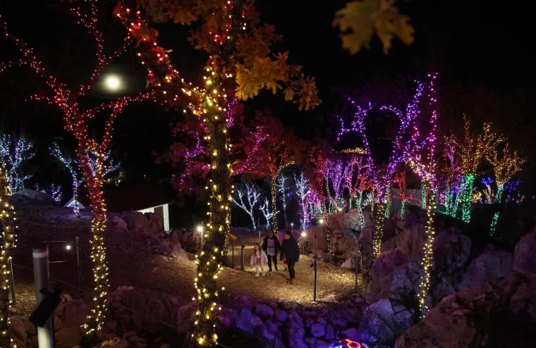 Pogledajte bajkovite prizore Božićnog sela: Osvijetljeno je s čak 4,5 milijuna lampica