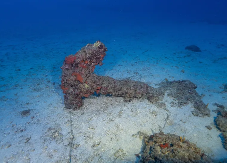 U dubinama pronađeno čudesno blago: Ronioci zanijemili kada su ugledali &scaron;to se tamo krije