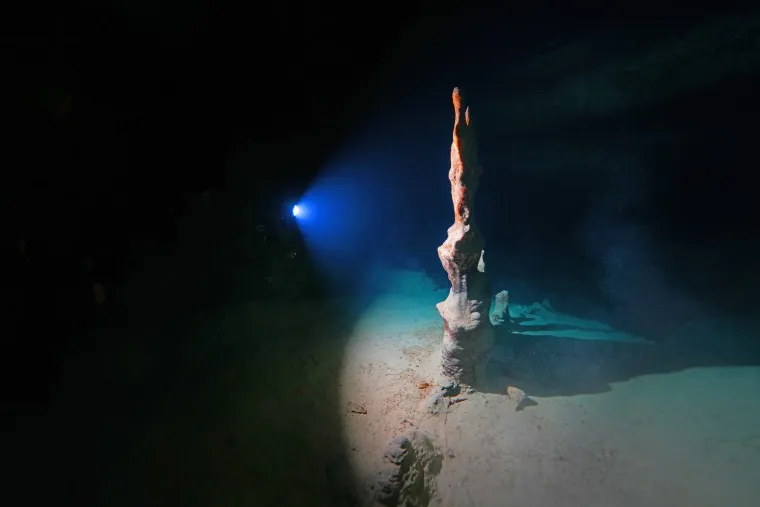 U dubinama pronađeno čudesno blago: Ronioci zanijemili kada su ugledali &scaron;to se tamo krije