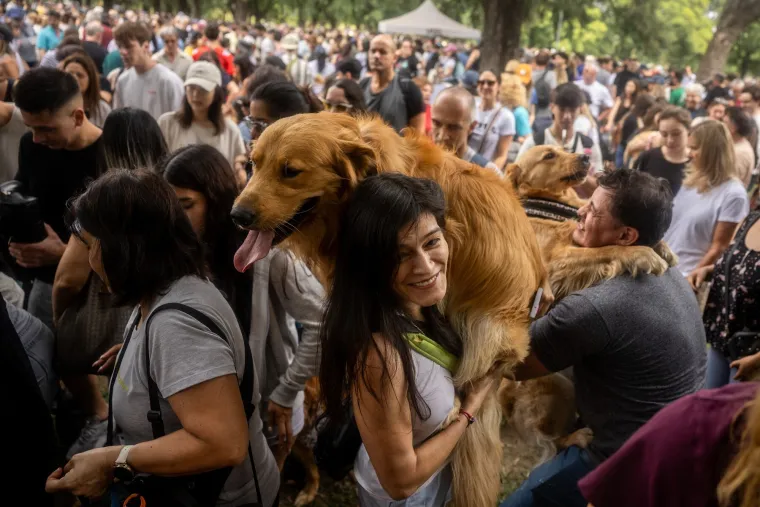 Nevjerojatno! Vi&scaron;e od 1.800 zlatnih retrivera sru&scaron;ilo rekord i osvojilo srca diljem svijeta