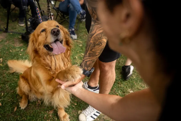 Nevjerojatno! Vi&scaron;e od 1.800 zlatnih retrivera sru&scaron;ilo rekord i osvojilo srca diljem svijeta