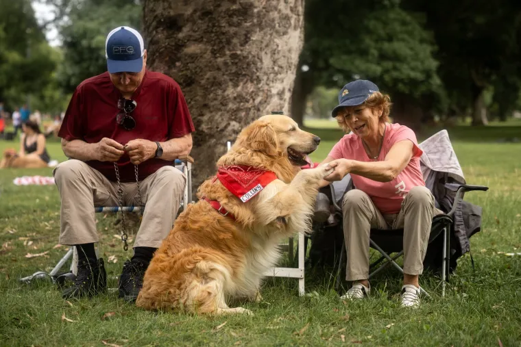 Nevjerojatno! Vi&scaron;e od 1.800 zlatnih retrivera sru&scaron;ilo rekord i osvojilo srca diljem svijeta