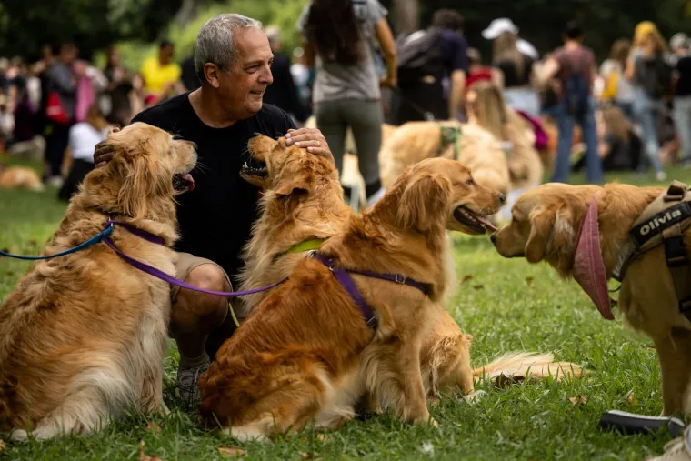 Nevjerojatno! Vi&scaron;e od 1.800 zlatnih retrivera sru&scaron;ilo rekord i osvojilo srca diljem svijeta