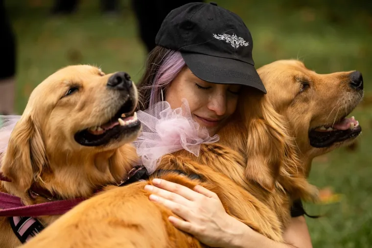 Nevjerojatno! Vi&scaron;e od 1.800 zlatnih retrivera sru&scaron;ilo rekord i osvojilo srca diljem svijeta