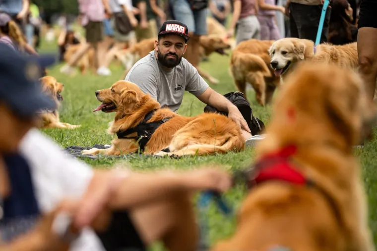Nevjerojatno! Vi&scaron;e od 1.800 zlatnih retrivera sru&scaron;ilo rekord i osvojilo srca diljem svijeta