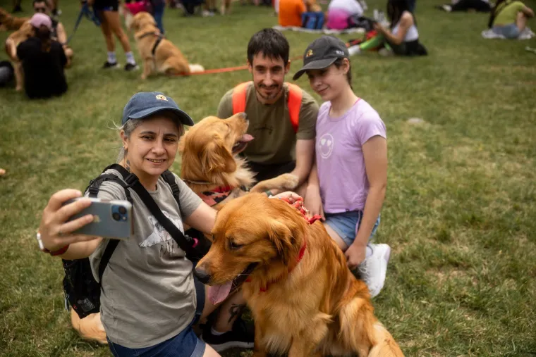 Nevjerojatno! Vi&scaron;e od 1.800 zlatnih retrivera sru&scaron;ilo rekord i osvojilo srca diljem svijeta