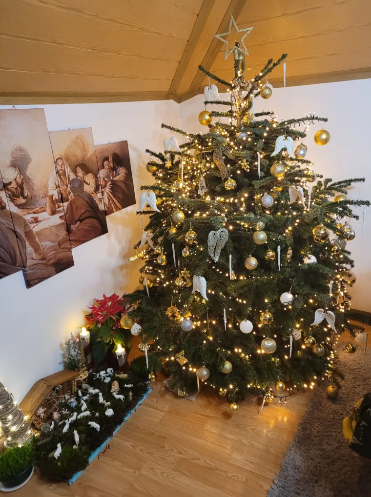 Blagdanska magija! Donosimo 40 va&scaron;ih jelki koje su očarale redakciju