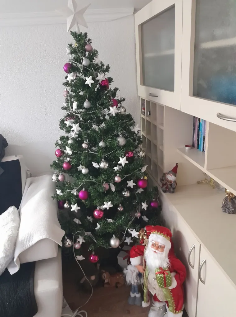 Blagdanska magija! Donosimo 40 va&scaron;ih jelki koje su očarale redakciju