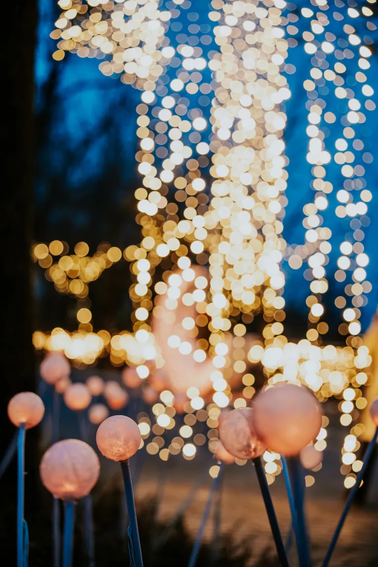 Bajkoviti Mjesečev vrt: Obnovljeno šetalište savršeno je mjesto za adventsku fotografiju