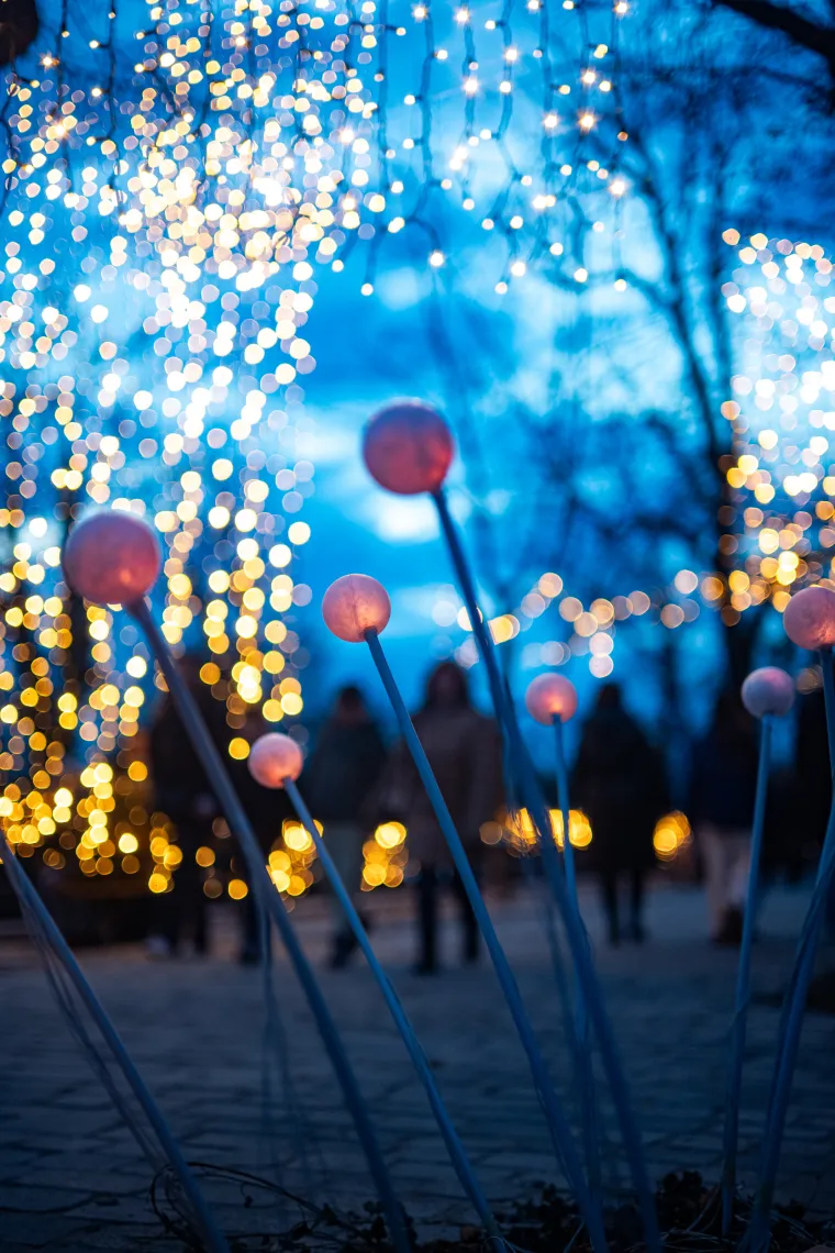 Bajkoviti Mjesečev vrt: Obnovljeno šetalište savršeno je mjesto za adventsku fotografiju