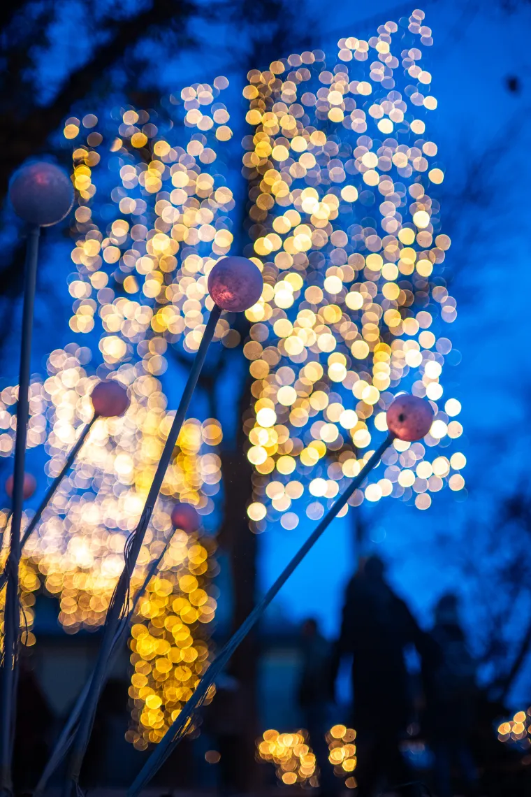 Bajkoviti Mjesečev vrt: Obnovljeno šetalište savršeno je mjesto za adventsku fotografiju