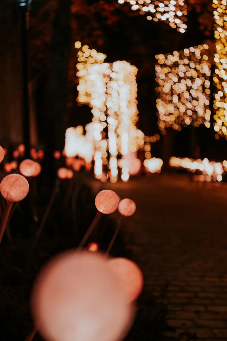 Bajkoviti Mjesečev vrt: Obnovljeno šetalište savršeno je mjesto za adventsku fotografiju