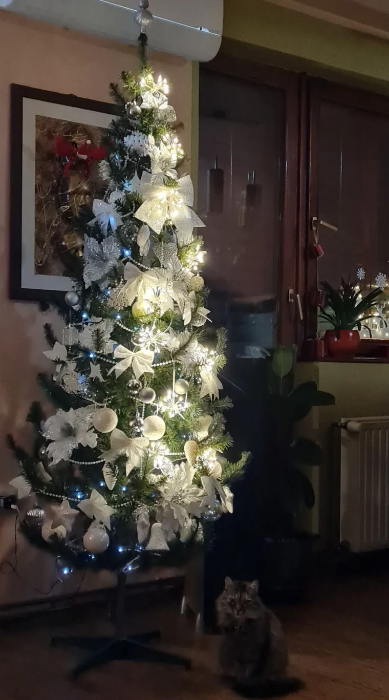 Jedna ljep&scaron;a od druge: Utrka se zahuktava, ovo su va&scaron;e čarobne božićne jelke