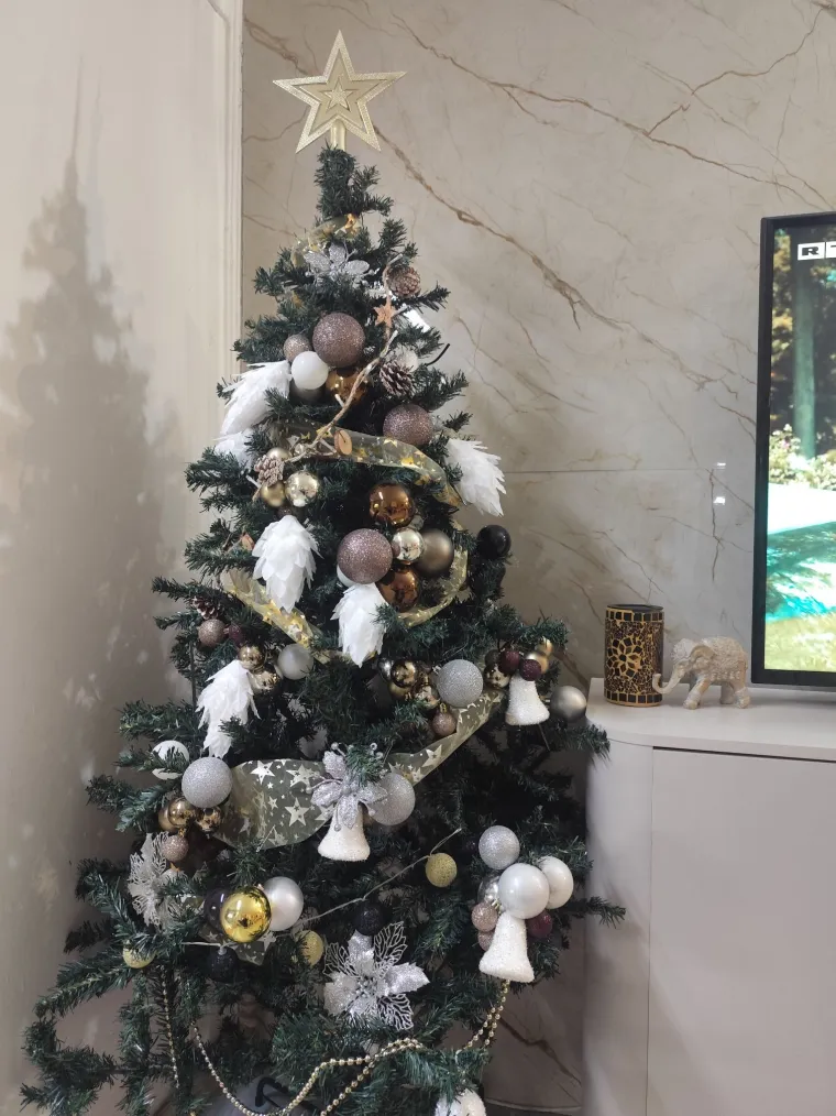 Jedna ljep&scaron;a od druge: Utrka se zahuktava, ovo su va&scaron;e čarobne božićne jelke