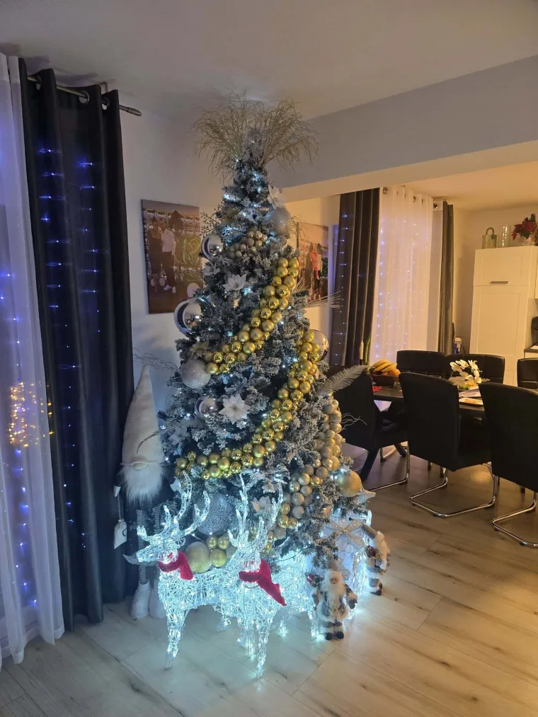 Jedna ljep&scaron;a od druge: Utrka se zahuktava, ovo su va&scaron;e čarobne božićne jelke