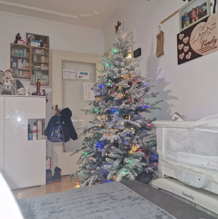 Jedna ljep&scaron;a od druge: Utrka se zahuktava, ovo su va&scaron;e čarobne božićne jelke