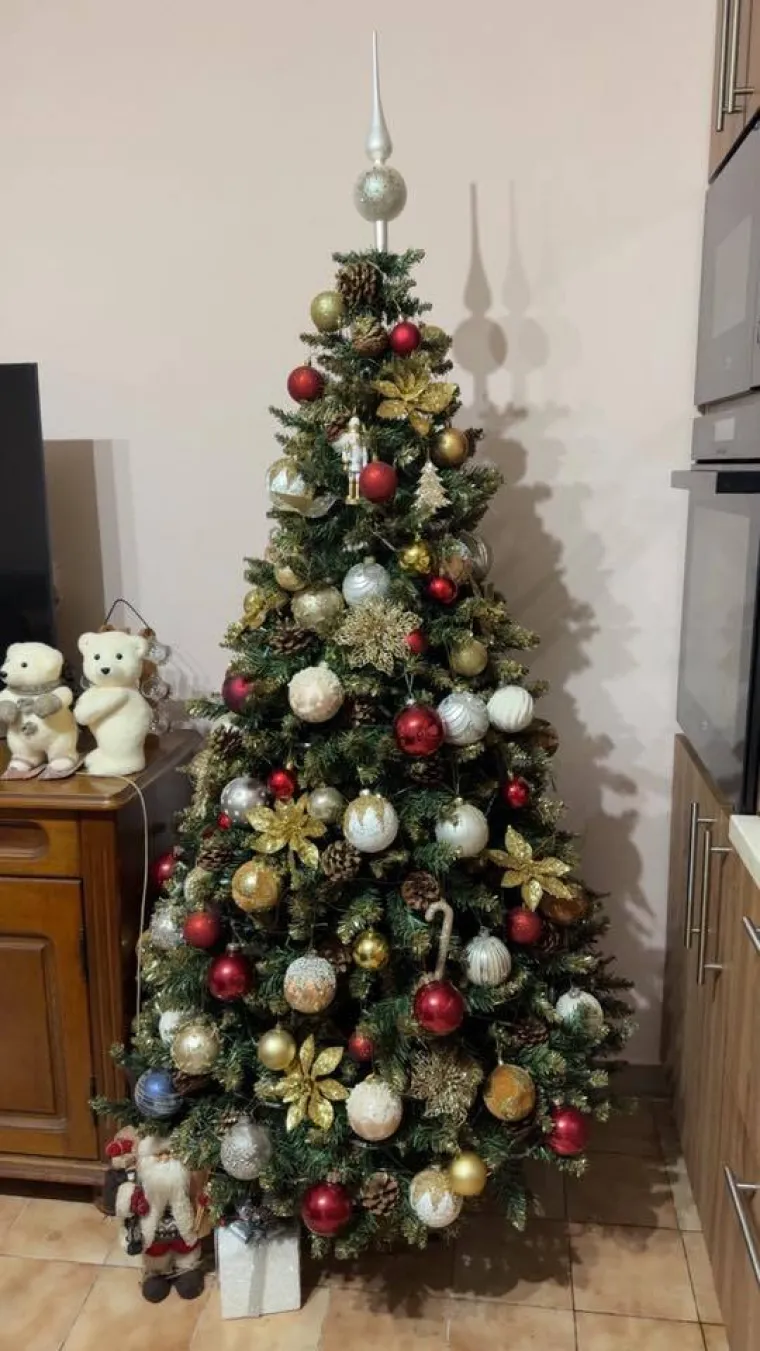 Jedna ljep&scaron;a od druge: Utrka se zahuktava, ovo su va&scaron;e čarobne božićne jelke