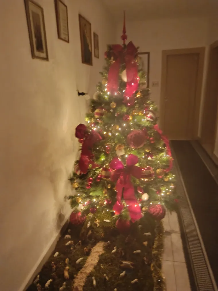 Jedna ljep&scaron;a od druge: Utrka se zahuktava, ovo su va&scaron;e čarobne božićne jelke