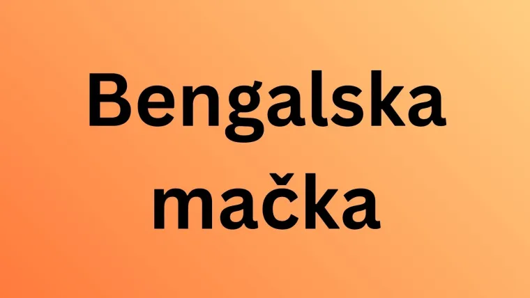 Neka od ovih pitanja mogla bi zbuniti i mačkoljupce: Dokažite da nije nemoguće znati sve