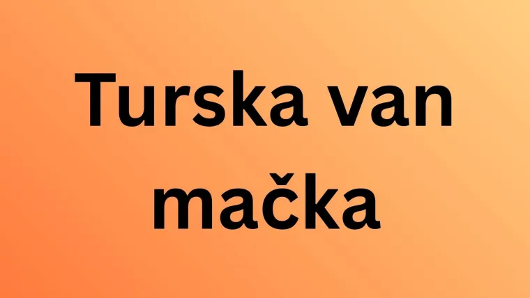 Neka od ovih pitanja mogla bi zbuniti i mačkoljupce: Dokažite da nije nemoguće znati sve