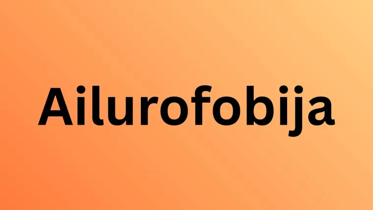 Neka od ovih pitanja mogla bi zbuniti i mačkoljupce: Dokažite da nije nemoguće znati sve