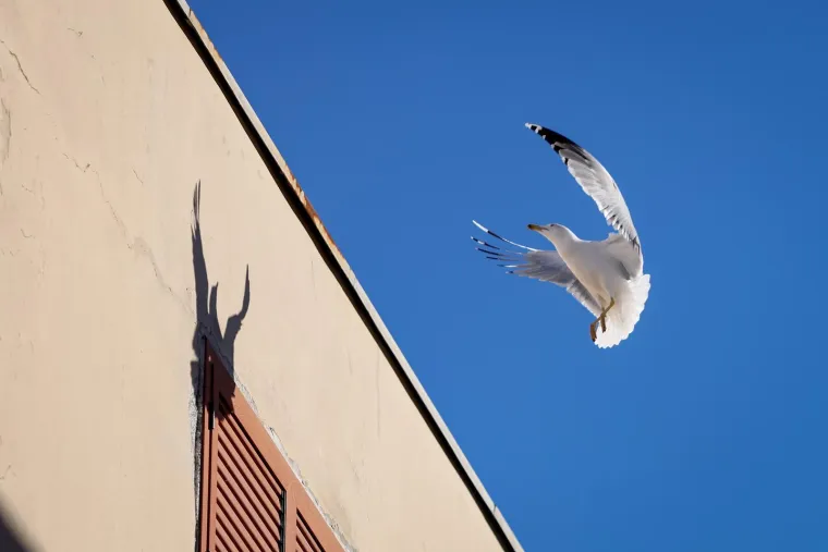 Ma je li ovo modna pista ili centar Zadra? Ove djevojke osvojile su poglede slučajnih prolaznika
