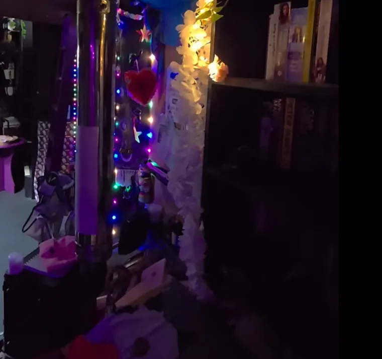 Uložila je vrtoglavi iznos i od autobusa stvorila dom iz snova: Izgleda kao pravi mali raj