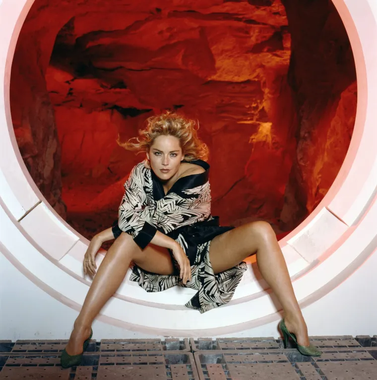 Sharon Stone nekad i danas: Postala seks simbol, naglo oboljela pa se vratila jača nego ikad