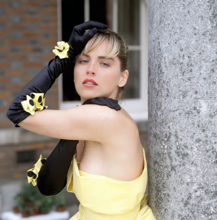 Sharon Stone nekad i danas: Postala seks simbol, naglo oboljela pa se vratila jača nego ikad